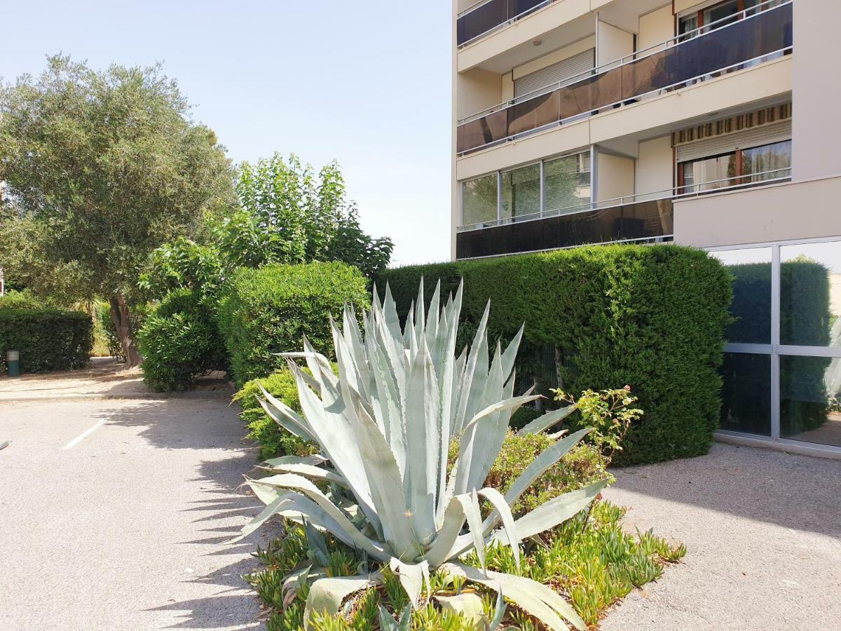 Studio Moderne Avec Parking Et Piscine- 313 Canet-en-Roussillon Dış mekan fotoğraf