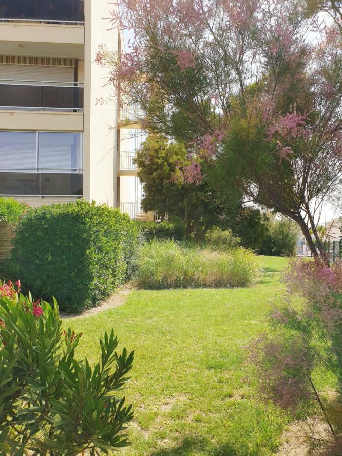 Studio Moderne Avec Parking Et Piscine- 313 Canet-en-Roussillon Dış mekan fotoğraf
